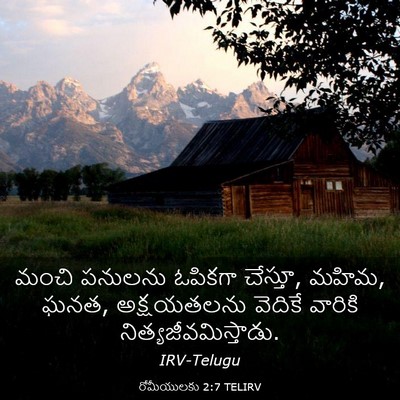 Picture 03 - రోమీయులకు 2:7 TELIRV - మంచి పనులను - Bible Verse Picture