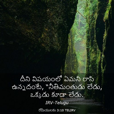 Picture 03 - రోమీయులకు 3:10 TELIRV - దీని విషయంలో ఏమని - Bible Verse Picture