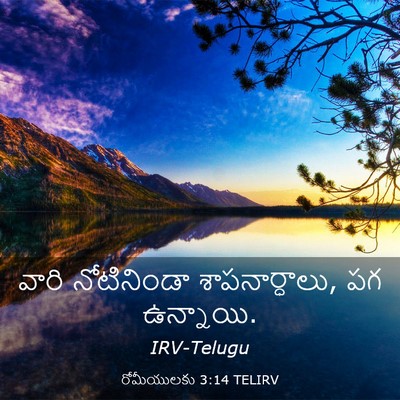 Picture 03 - రోమీయులకు 3:14 TELIRV - వారి నోటినిండా - Bible Verse Picture