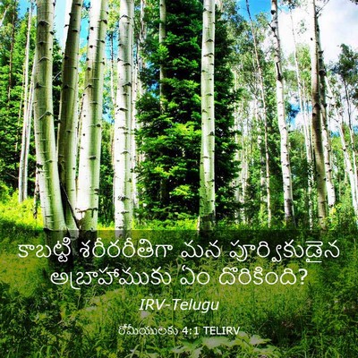 Picture 03 - రోమీయులకు 4:1 TELIRV - కాబట్టి - Bible Verse Picture