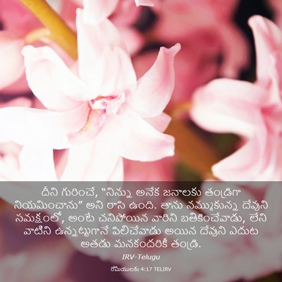 Picture 03 - రోమీయులకు 4:17 TELIRV - దీని గురించే, - Bible Verse Picture