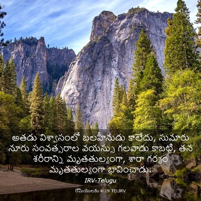 Picture 03 - రోమీయులకు 4:19 TELIRV - అతడు విశ్వాసంలో - Bible Verse Picture