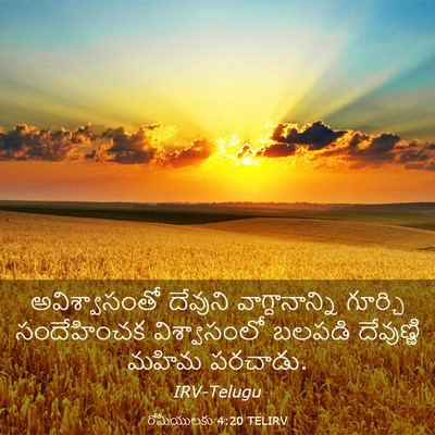 Picture 03 - రోమీయులకు 4:20 TELIRV - అవిశ్వాసంతో - Bible Verse Picture