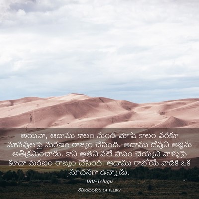 Picture 03 - రోమీయులకు 5:14 TELIRV - అయినా, ఆదాము కాలం - Bible Verse Picture