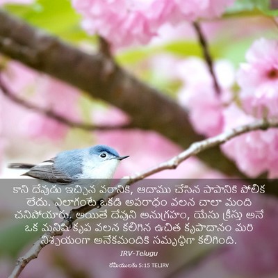 Picture 03 - రోమీయులకు 5:15 TELIRV - కాని దేవుడు - Bible Verse Picture