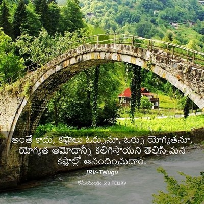Picture 03 - రోమీయులకు 5:3 TELIRV - అంతే కాదు, కష్టాలు - Bible Verse Picture