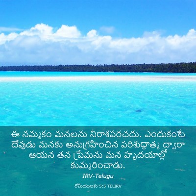 Picture 03 - రోమీయులకు 5:5 TELIRV - ఈ నమ్మకం మనలను - Bible Verse Picture