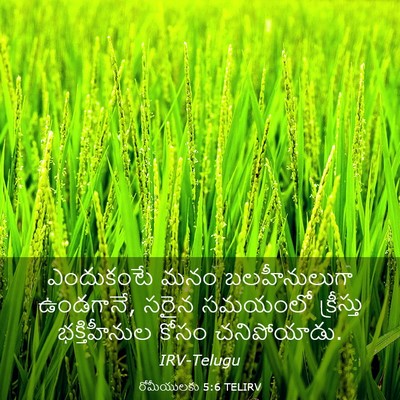 Picture 03 - రోమీయులకు 5:6 TELIRV - ఎందుకంటే మనం - Bible Verse Picture
