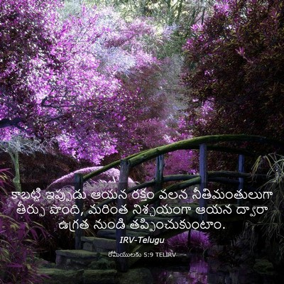 Picture 03 - రోమీయులకు 5:9 TELIRV - కాబట్టి ఇప్పుడు - Bible Verse Picture