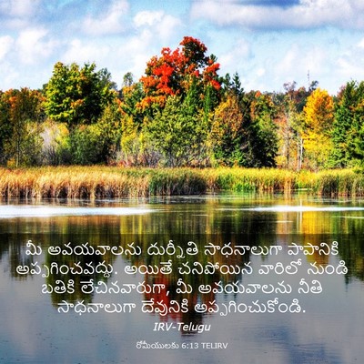 Picture 03 - రోమీయులకు 6:13 TELIRV - మీ అవయవాలను - Bible Verse Picture