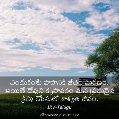 Picture 03 - రోమీయులకు 6:23 TELIRV - ఎందుకంటే పాపానికి - Bible Verse Picture