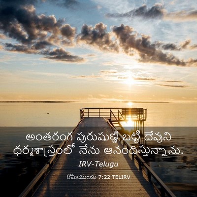Picture 03 - రోమీయులకు 7:22 TELIRV - అంతరంగ పురుషుణ్ణి - Bible Verse Picture