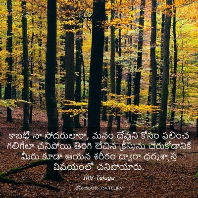 Picture 03 - రోమీయులకు 7:4 TELIRV - కాబట్టి నా - Bible Verse Picture