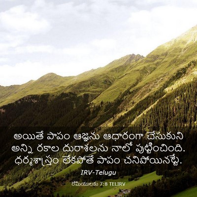 Picture 03 - రోమీయులకు 7:8 TELIRV - అయితే పాపం ఆజ్ఞను - Bible Verse Picture