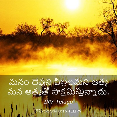 Picture 03 - రోమీయులకు 8:16 TELIRV - మనం దేవుని - Bible Verse Picture