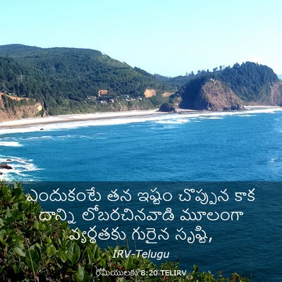 Picture 03 - రోమీయులకు 8:20 TELIRV - ఎందుకంటే తన ఇష్టం - Bible Verse Picture