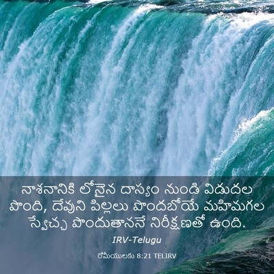 Picture 03 - రోమీయులకు 8:21 TELIRV - నాశనానికి లోనైన - Bible Verse Picture