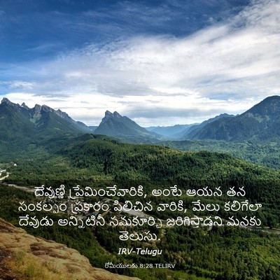 Picture 03 - రోమీయులకు 8:28 TELIRV - దేవుణ్ణి - Bible Verse Picture