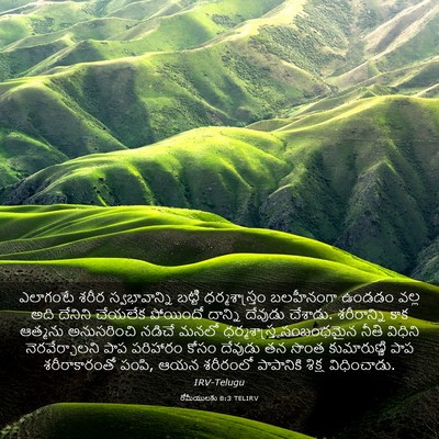 Picture 03 - రోమీయులకు 8:3 TELIRV - ఎలాగంటే శరీర - Bible Verse Picture