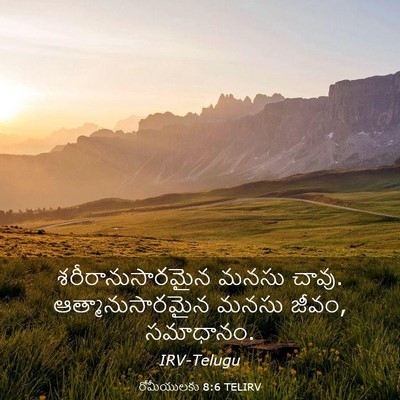 Picture 03 - రోమీయులకు 8:6 TELIRV - శరీరానుసారమైన - Bible Verse Picture