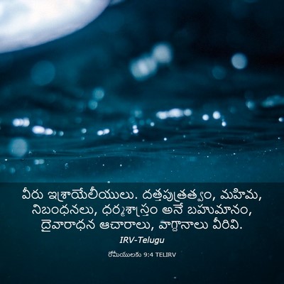 Picture 03 - రోమీయులకు 9:4 TELIRV - వీరు - Bible Verse Picture