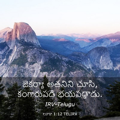 Picture 03 - లూకా 1:12 TELIRV - జెకర్యా అతనిని - Bible Verse Picture