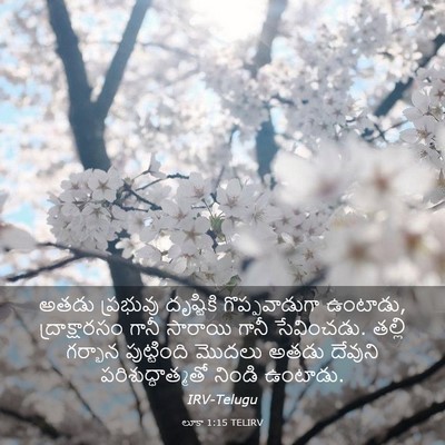 Picture 03 - లూకా 1:15 TELIRV - అతడు ప్రభువు - Bible Verse Picture