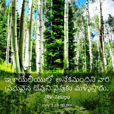 Picture 03 - లూకా 1:16 TELIRV - ఇశ్రాయేలీయుల్లో - Bible Verse Picture