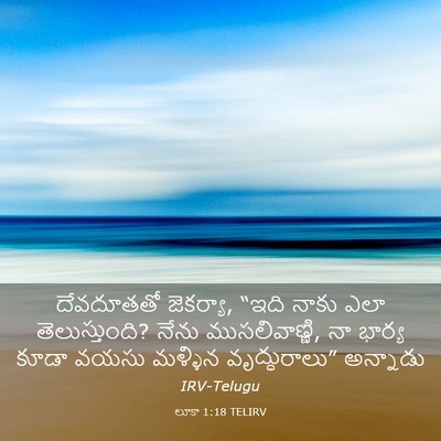 Picture 03 - లూకా 1:18 TELIRV - దేవదూతతో జెకర్యా, - Bible Verse Picture