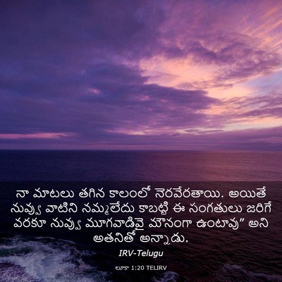 Picture 03 - లూకా 1:20 TELIRV - నా మాటలు తగిన - Bible Verse Picture