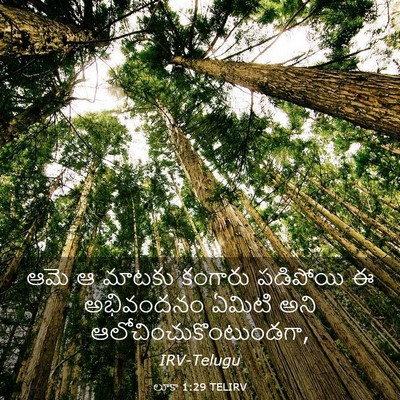 Picture 03 - లూకా 1:29 TELIRV - ఆమె ఆ మాటకు కంగారు - Bible Verse Picture