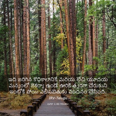 Picture 03 - లూకా 1:40 TELIRV - ఇది జరిగిన - Bible Verse Picture
