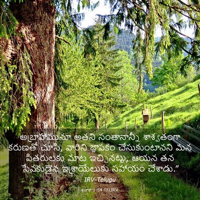 Picture 03 - లూకా 1:54 TELIRV - అబ్రాహామునూ అతని - Bible Verse Picture