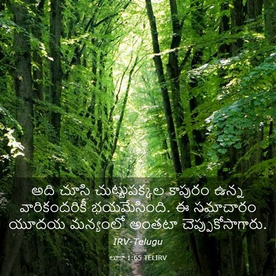 Picture 03 - లూకా 1:65 TELIRV - అది చూసి - Bible Verse Picture