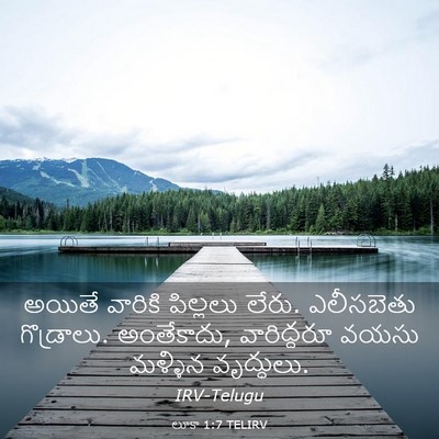 Picture 03 - లూకా 1:7 TELIRV - అయితే వారికి - Bible Verse Picture