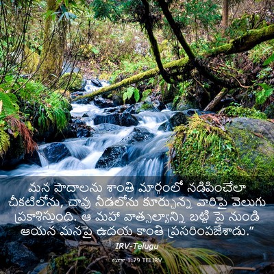 Picture 03 - లూకా 1:79 TELIRV - మన పాదాలను శాంతి - Bible Verse Picture