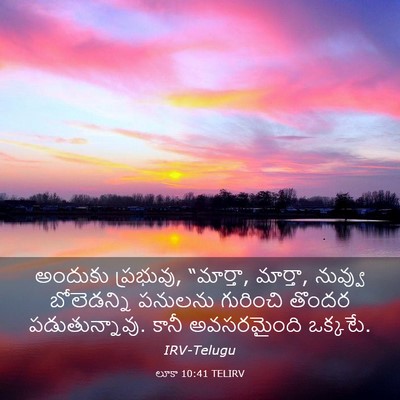 Picture 03 - లూకా 10:41 TELIRV - అందుకు ప్రభువు, - Bible Verse Picture