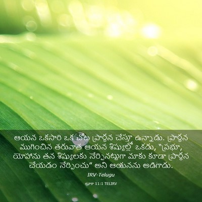 Picture 03 - లూకా 11:1 TELIRV - ఆయన ఒకసారి ఒక చోట - Bible Verse Picture