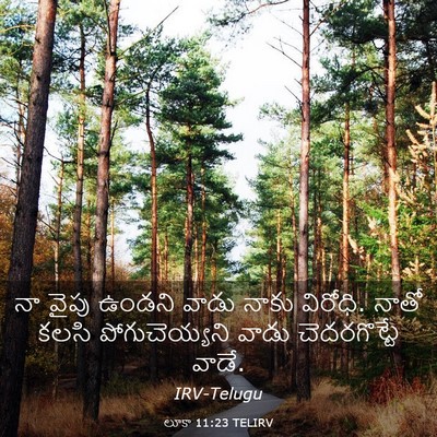 Picture 03 - లూకా 11:23 TELIRV - నా వైపు ఉండని వాడు - Bible Verse Picture