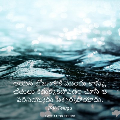 Picture 03 - లూకా 11:38 TELIRV - ఆయన భోజనానికి - Bible Verse Picture