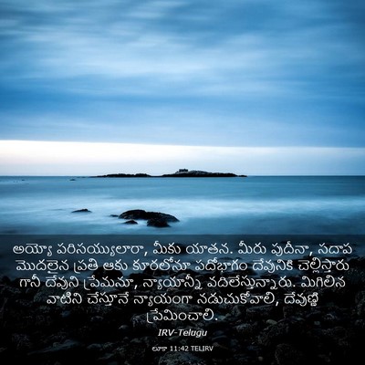 Picture 03 - లూకా 11:42 TELIRV - అయ్యో - Bible Verse Picture