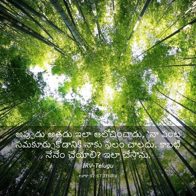 Picture 03 - లూకా 12:17 TELIRV - అప్పుడు అతడు ఇలా - Bible Verse Picture