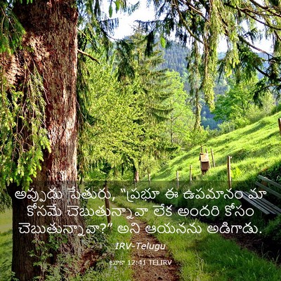 Picture 03 - లూకా 12:41 TELIRV - అప్పుడు పేతురు, - Bible Verse Picture
