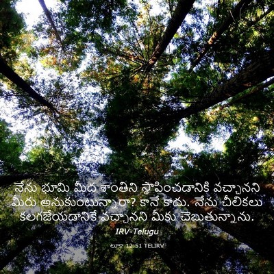 Picture 03 - లూకా 12:51 TELIRV - నేను భూమి మీద - Bible Verse Picture