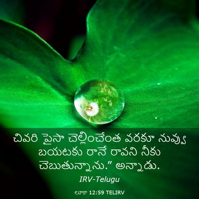 Picture 03 - లూకా 12:59 TELIRV - చివరి పైసా - Bible Verse Picture