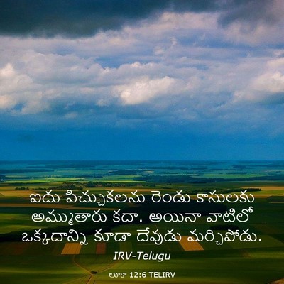 Picture 03 - లూకా 12:6 TELIRV - ఐదు పిచ్చుకలను - Bible Verse Picture