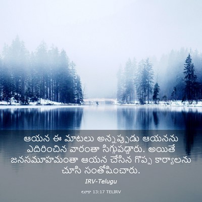 Picture 03 - లూకా 13:17 TELIRV - ఆయన ఈ మాటలు - Bible Verse Picture