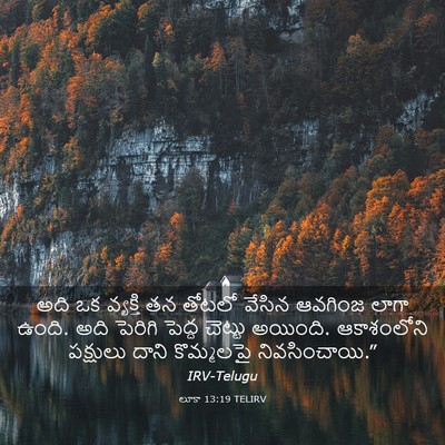 Picture 03 - లూకా 13:19 TELIRV - అది ఒక వ్యక్తి తన - Bible Verse Picture