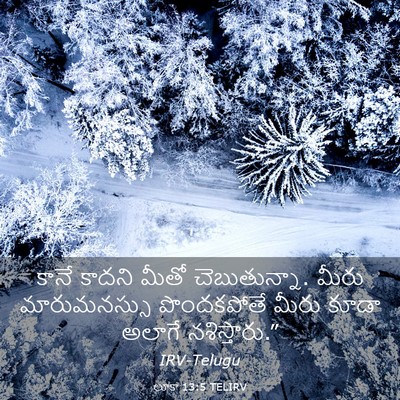 Picture 03 - లూకా 13:5 TELIRV - కానే కాదని మీతో - Bible Verse Picture