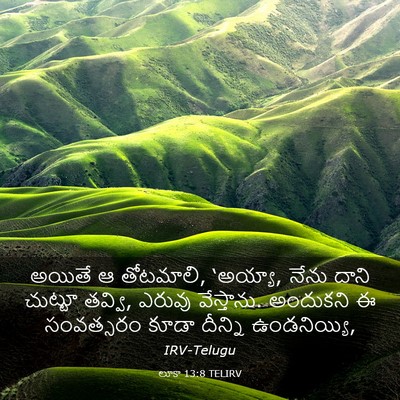 Picture 03 - లూకా 13:8 TELIRV - అయితే ఆ తోటమాలి, - Bible Verse Picture